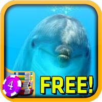 3D Dolphin Slots - Free APK