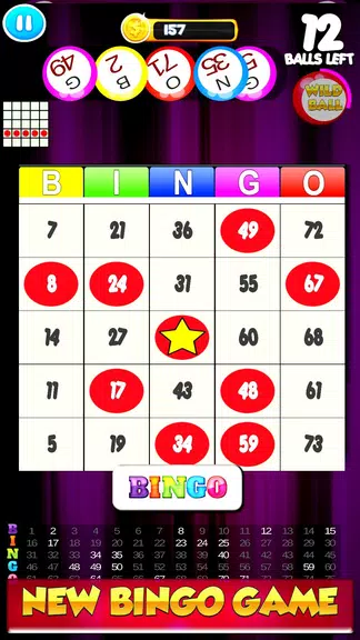 Free Bingo New Cards Game - Vegas Casino Feel  Screenshot 1