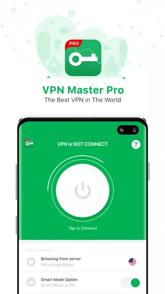 VPN Master Pro - Super Secure  Screenshot 1