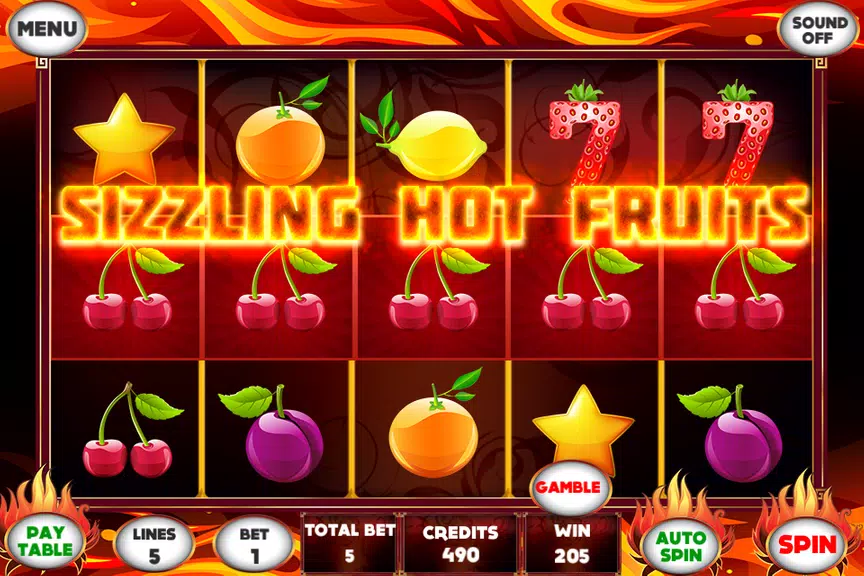 Sizzling Hot Fruits Slot  Screenshot 4