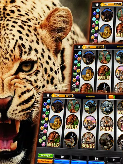 Cheetah Slots Safari  Screenshot 1