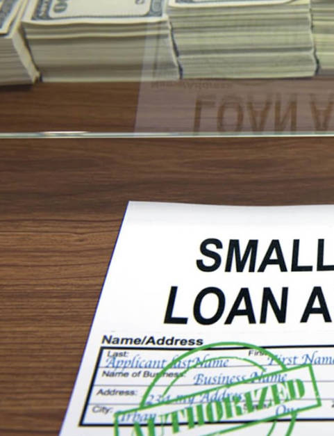 Business Loan Apply, Small Business Loan Guide  Screenshot 2