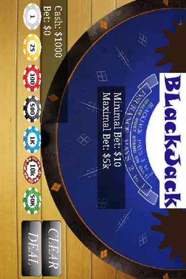 BlackJack 21 Casino Free  Screenshot 3