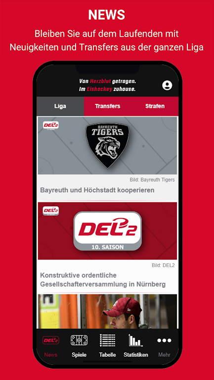 Deutsche Eishockey Liga 2  Screenshot 1