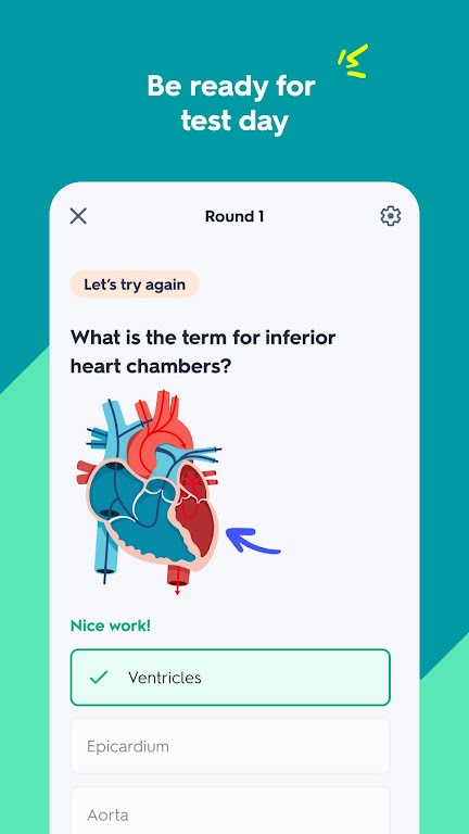 Quizlet: AI-powered Flashcards Mod  Screenshot 3