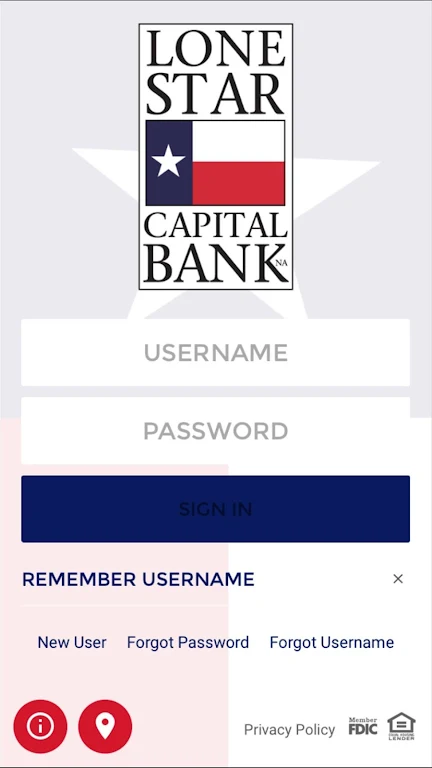 Lone Star Capital Bank  Screenshot 1