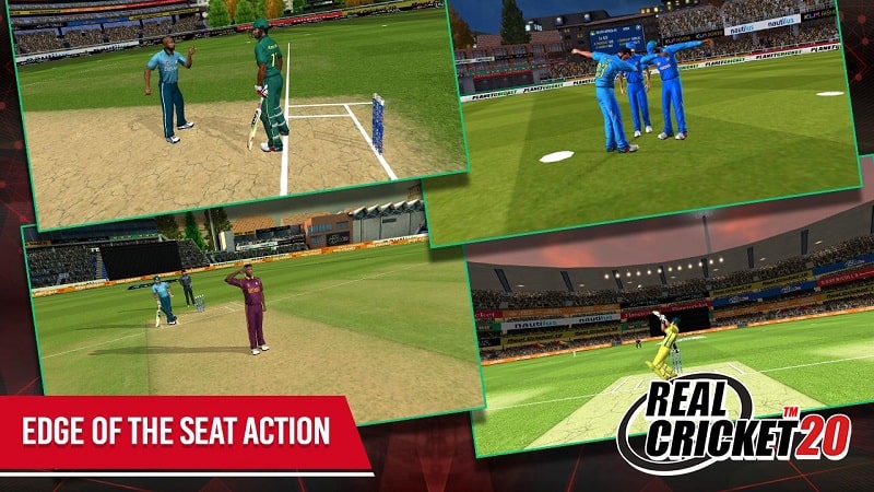 Real Cricket 20  Screenshot 3