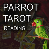 Kili Josiyam Parrot Astrology - Tarot card Reading APK