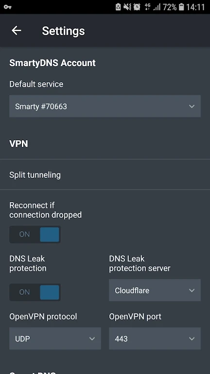 SmartyDNS - VPN and Smart DNS  Screenshot 3