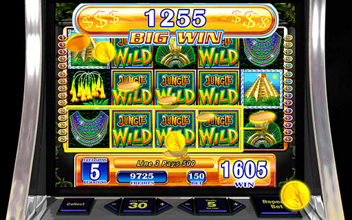 Jungle Wild - HD Slot Machine  Screenshot 2