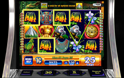 Jungle Wild - HD Slot Machine  Screenshot 3