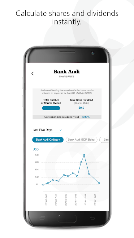 Bank Audi IR  Screenshot 4