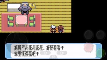 口袋妖怪红宝石全随机 Screenshot 2