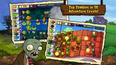 PLANTS VS ZOMBIES Screenshot 3