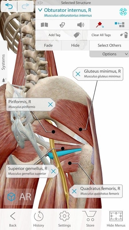 Human Anatomy Atlas 2021  Screenshot 4