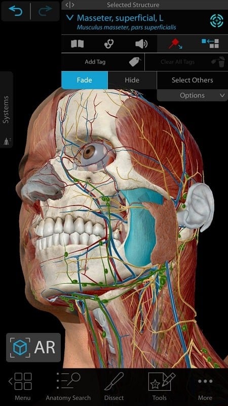 Human Anatomy Atlas 2021  Screenshot 2