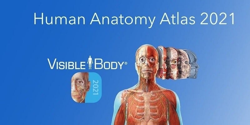 Human Anatomy Atlas 2021  Screenshot 1