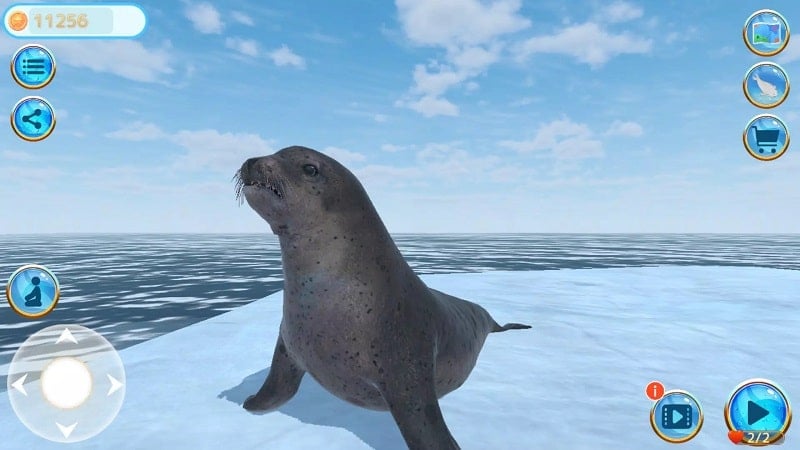 Seal Island  Screenshot 2