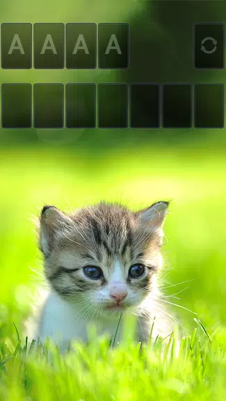 Solitaire Little Cat Theme  Screenshot 2