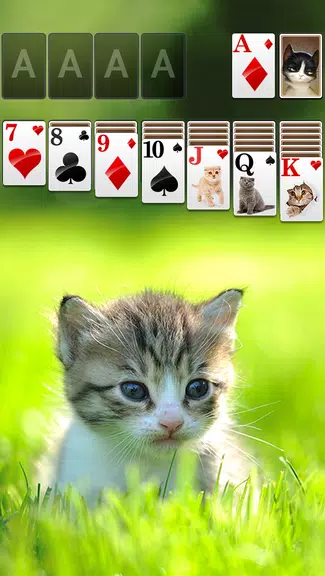 Solitaire Little Cat Theme  Screenshot 1