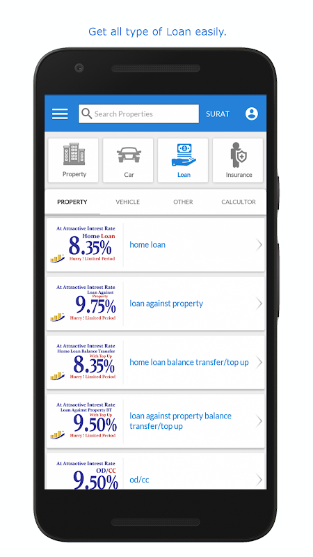 Bank Loan Provider  Screenshot 1