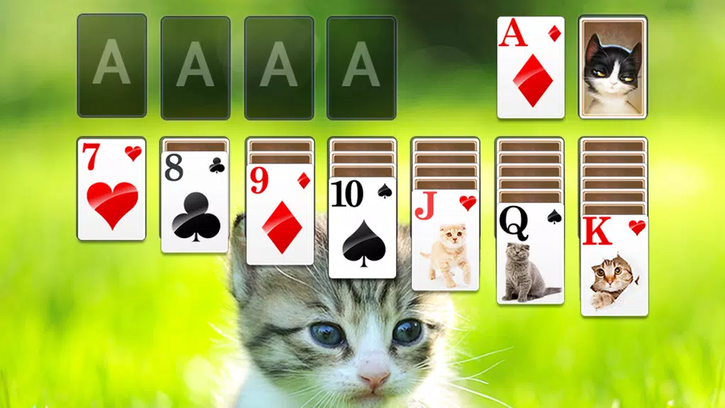 Solitaire Little Cat Theme  Screenshot 3