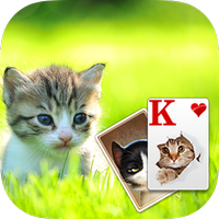 Solitaire Little Cat Theme APK