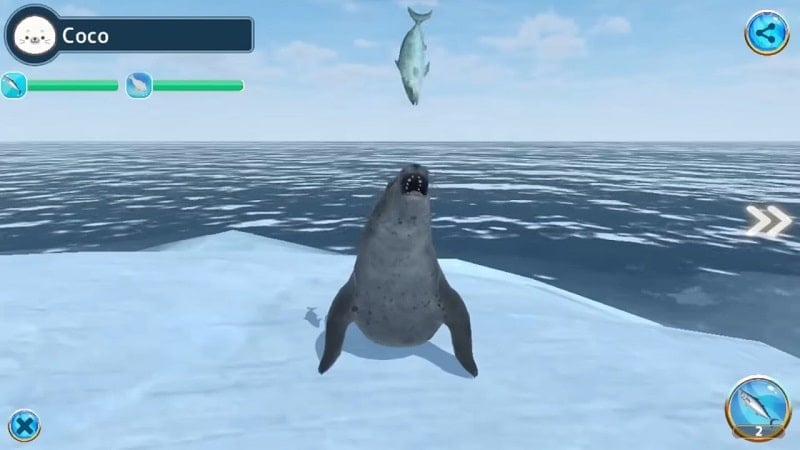 Seal Island  Screenshot 4