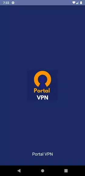 Portal VPN  Screenshot 1