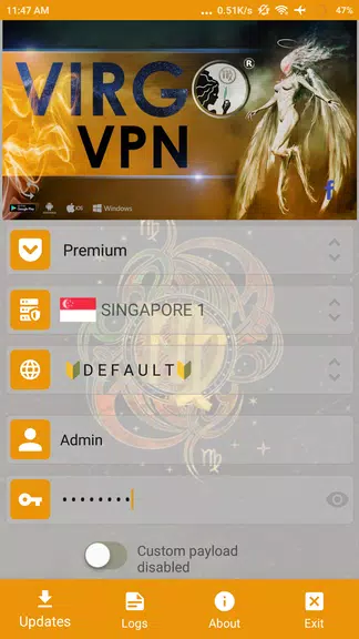 Virgo VPN  Screenshot 1