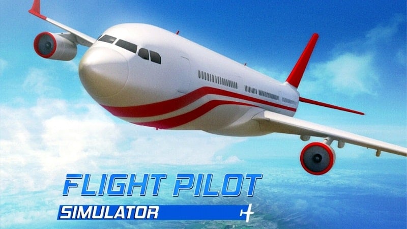 Flight Pilot Simulator 3D  Screenshot 1