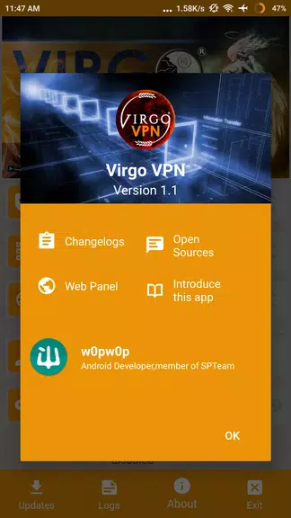 Virgo VPN  Screenshot 3