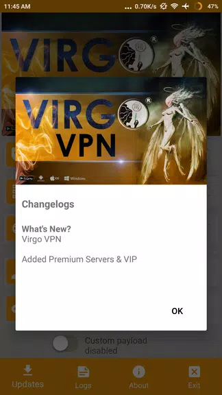 Virgo VPN  Screenshot 2