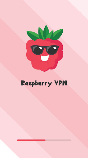 raspberry VPN  Screenshot 4