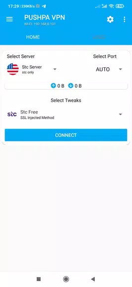 PUSHPA VPN  Screenshot 4