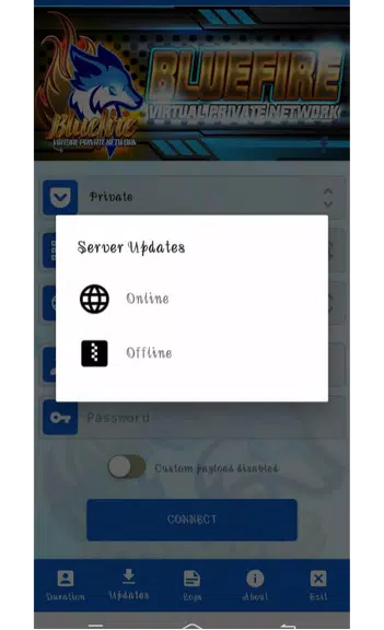 BLUEFIRE VPN (NEW)  Screenshot 4