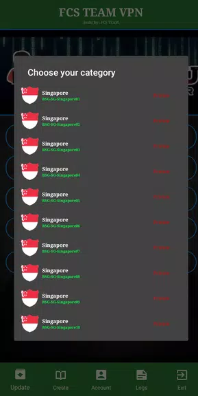 FCS TEAM VPN  Screenshot 4
