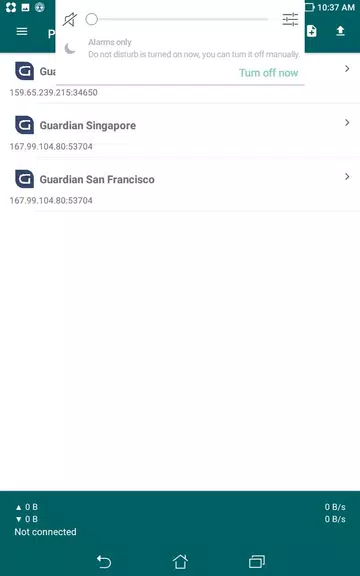Guardian VPNS  Screenshot 2