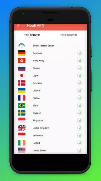 Hooli VPN  Screenshot 2