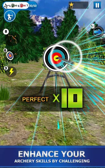 Archery Shoot  Screenshot 2