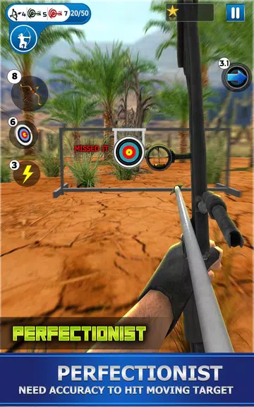 Archery Shoot  Screenshot 3