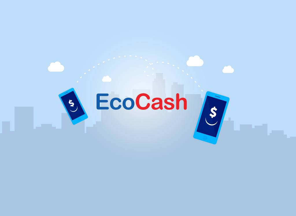 EcoCash (Data App)  Screenshot 3