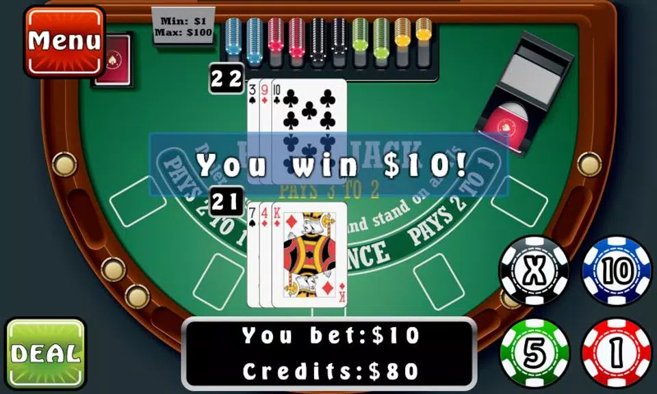 Blackjack Fever  Screenshot 3