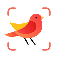 Picture Bird拍照识鸟 APK