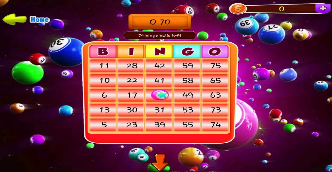 Bee Bingo Near Me  Screenshot 4