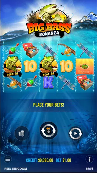 Big Bass Bonanza Slot Casino  Screenshot 3