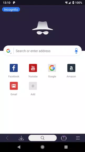 Private Browser - Incognito Window with VPN  Screenshot 1