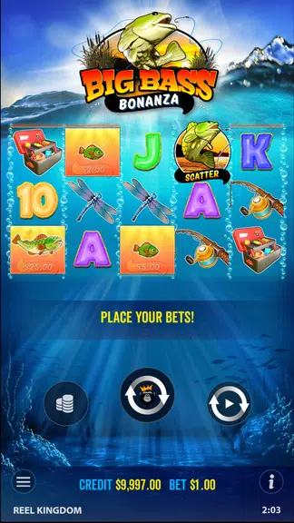 Big Bass Bonanza Slot Casino  Screenshot 4