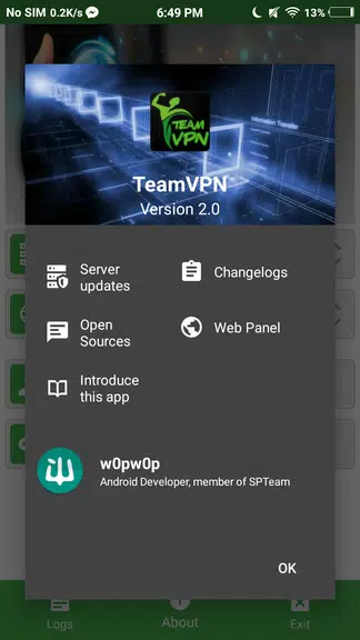 TeamVPN  Screenshot 3