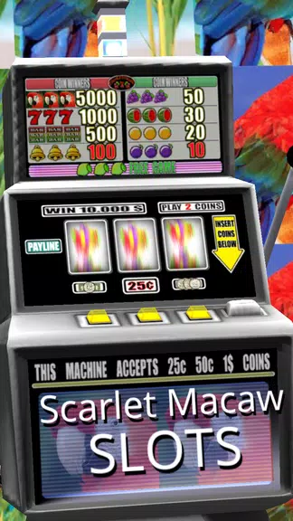 Scarlet Macaw Slots - Free  Screenshot 3